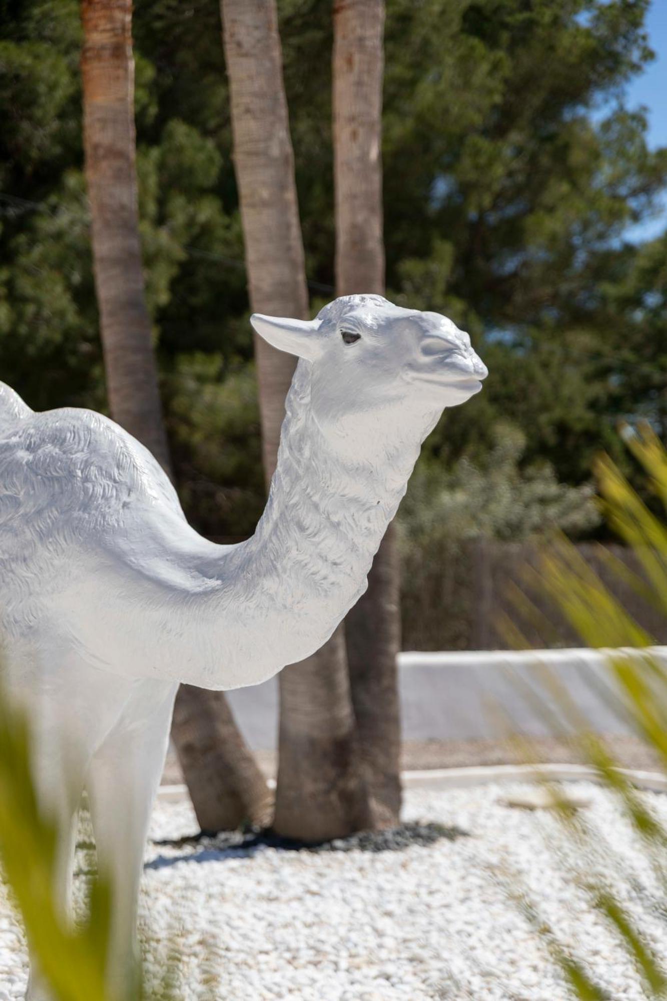 Villa Nivaria Sant Jordi de ses Salines 외부 사진